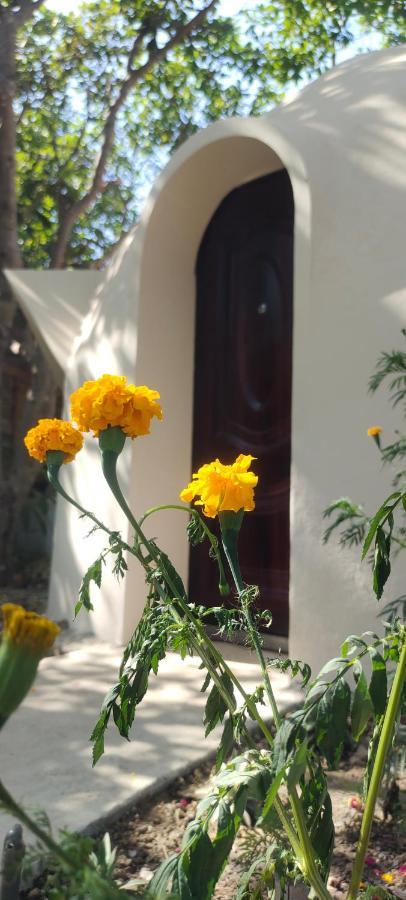 Hostel Done Right Phumi Chrouy Svay Exteriér fotografie